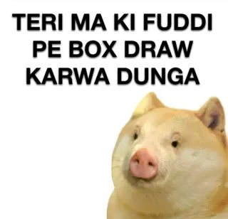 🐷 1ab6fa2a TERI MA KI FUDDI PE BOX DRAW KARWA DUNGA 攻撃的, 侮辱的, doge, ミーム, 豚 telegram sticker