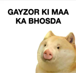 🐷 389f76ba GAYZOR KI MAA KA BHOSDA 攻撃的, 侮辱的, 豚 telegram sticker