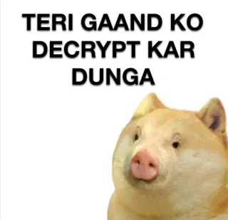 🐷 67498f3a TERI GAAND KO DECRYPT KAR DUNGA ミーム, 犬, 攻撃的, インド telegram sticker
