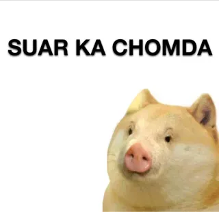 @Rzb_Razor Maa ka Bhosda | By @MysticOp telegram stickers