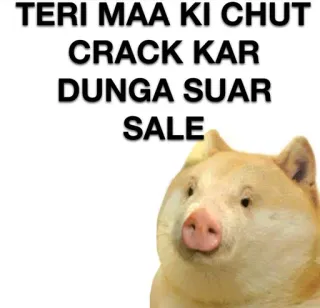 🐷 a0bd89d3 TERI MAA KI CHUT
CRACK KAR
DUNGA SUAR
SALE 攻撃的, 豚, 侮辱, ミーム telegram sticker
