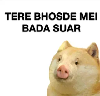 🐷 a392d1e4 TERE BHOSDE MEI BADA SUAR 攻撃的, 豚, 侮辱, インディアン telegram sticker