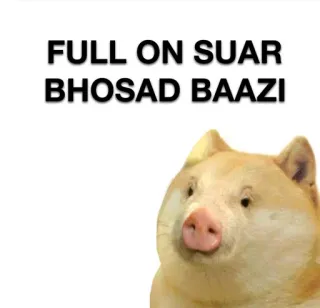 🐷 d3bbb7cc FULL ON SUAR BHOSAD BAAZI 豚, 不快, ミーム, 動物 telegram sticker