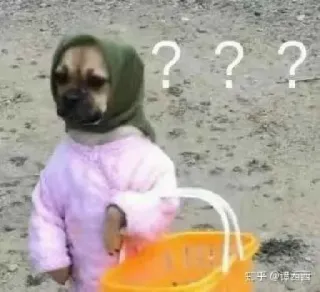 😐 3f14d005 cachorro, animal, pontos de interrogação, confuso, cesta, roupa telegram sticker