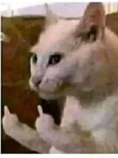 😡 965b5f45 gato, dedo do meio, ofensivo, animal, rude telegram sticker