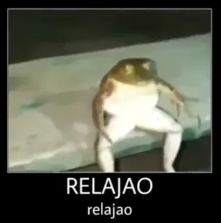 🤙 da657dd1 RELAJAO relajao katak, santai, meme, hewan, lucu whatsapp sticker