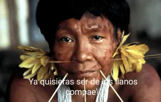 🤓 ef5517b0 Ya quisieras ser de los llanos compae' whatsapp sticker