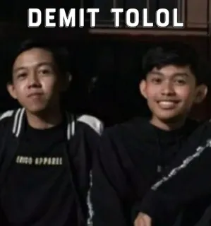 🤔 708a376d DEMIT TOLOL mensen, vrienden, portret, grappig, jeugd telegram sticker