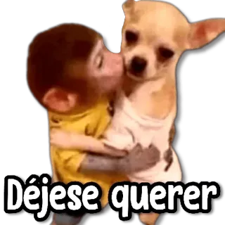 😘 52381017 Déjese querer monkey, dog, hug, love, affection whatsapp sticker