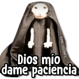 😀 65474e00 Dios mío dame paciencia cat, patience, god, humor, meme whatsapp sticker