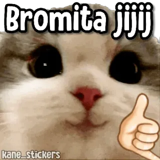 😀 74eae0d2 Bromita jijiji cat, kitten, thumbs up, meme, animal whatsapp sticker