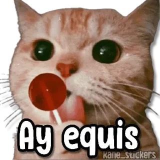 😀 7e8523c9 Ay equis cat, lollipop, cute, sticker, meme whatsapp sticker