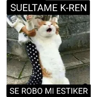 🤬 b92449f4 SUELTAME K-REN
SE ROBO MI ESTIKER cat, meme, funny, animal, karen, sticker whatsapp sticker