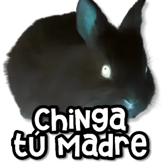 😠 fc9e7fa8 Chinga tu Madre insult, rabbit, offensive, spanish whatsapp sticker