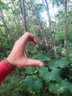 🤔 43422389 telegram sticker