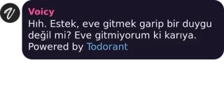 🎼 74a4293f Hih. Estek, eve gitmek garip bir duygu değil mi? Eve gitmiyorum ki karıya. telegram sticker