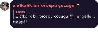 👩‍🎤 a775ce0e alkolik bir orospu çocuğu penghinaan, alkoholisme, menyinggung telegram sticker