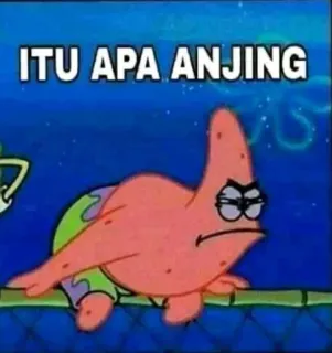 👀 3c8bdeb6 Patrick Star SpongeBob SquarePants ITU APA ANJING patrick, star, spongebob, anjing, itu, apa, cartoon telegram sticker