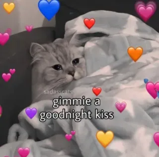 🥺 5fd31330 gimmie a goodnight kiss cat, kiss, goodnight, hearts, cute, animal telegram sticker