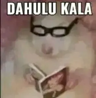 📚 e2ead337 DAHULU KALA hamster, reading, glasses, book, animal telegram sticker