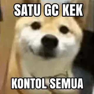 🧢 ec4cb9ee SATU GC KEK
KONTOL SEMUA dog, meme, offensive, indonesian telegram sticker