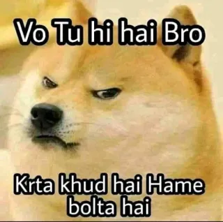 😐 6a174f28 Vo Tu hi hai Bro
Krta khud hai Hame bolta hai собака, мем, смешно telegram sticker