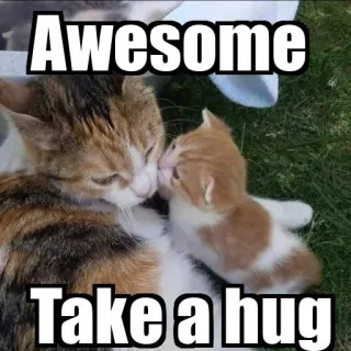 😗 6dee233e Awesome
Take a hug кот, котенок, объятие, нежность, животные telegram sticker