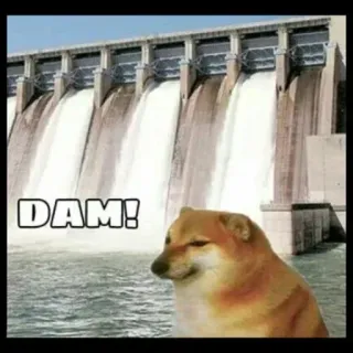 🥲 a372553f Doge DAM! доге, мем, дамба, вода telegram sticker