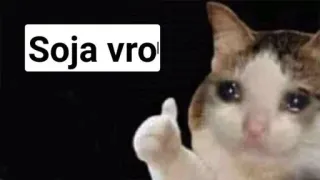 🥲 d70c161a Soja vro кот, палец вверх, мем, плач, соя, вро telegram sticker