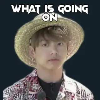 🙂 438a63d5 WHAT IS GOING ON Frage, Person, lustig, verwirrt, Hut telegram sticker