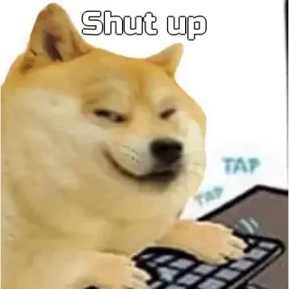 🙂 5a3b85f4 Shut up doge, meme, hund, tippen, internet telegram sticker