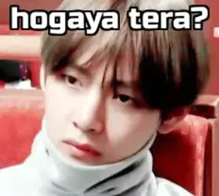 🙂 9b6e4f20 hogaya tera? Meme, Frage, Person, Indisch telegram sticker