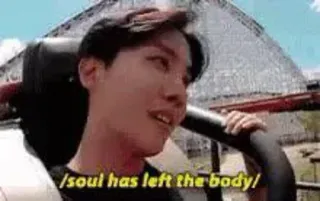 🙂 b5e5b36b /soul has left the body/ Achterbahn, Angst, Lustig, Meme, Seele, Körper, Fahrt telegram sticker