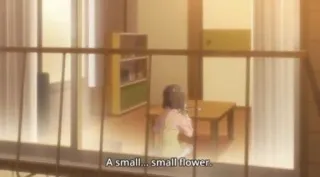 💖 8db1a7ba A small... small flower. kwiat, mały, dziecko, okno, pokój telegram sticker