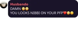 🙋‍♂️ 3a47fa67 DAMN
YOU LOOKS NIBBI ON YOUR PFP telegram sticker