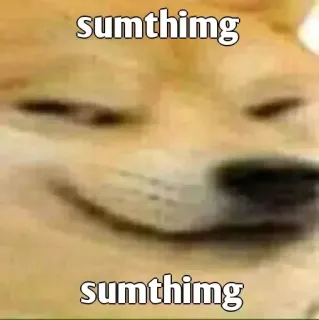 𝗛𝘂𝘀𝗯𝗮𝗻𝗱𝗼's cool (@ChaHaeInBot) whatsapp stickers