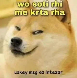 😁 eced8601 Doge wo soti rhi me krta rha uskey msg ka intezar anjing, meme, menunggu, doge telegram sticker