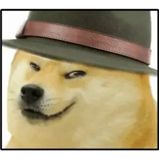 🤔 447ed77b Doge doge, anjing, topi, fedora, meme telegram sticker