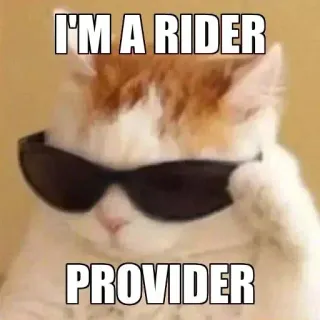 🤔 4e1306cc I'M A RIDER
PROVIDER kucing, kacamata hitam, meme, pengendara, penyedia, hewan telegram sticker