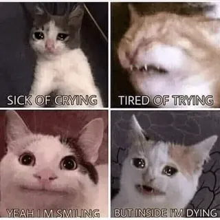 🙂 566ebf11 SICK OF CRYING
TIRED OF TRYING
YEAH I'M SMILING
BUT INSIDE I'M DYING kucing, meme, menangis, lelah, tersenyum, sekarat telegram sticker