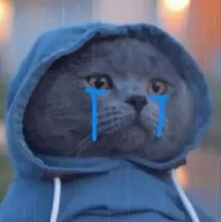 😭 6cef92d6 kucing, menangis, sedih, hoodie, air mata telegram sticker