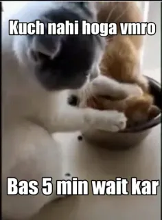 🙂 7cb74944 Kuch nahi hoga vmro
Bas 5 min wait kar kucing, lucu, menunggu, meme, binatang telegram sticker