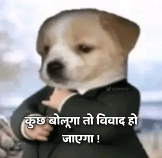 🃏 9dfdfca4 कुछ बोलूंगा तो विवाद हो जाएगा ! anjing, meme, setelan, lucu, hindi telegram sticker