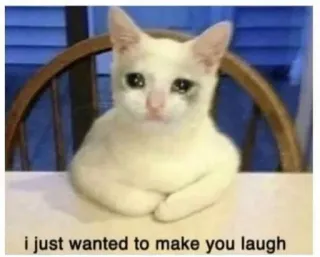 🤔 f1c0a81b i just wanted to make you laugh kucing, sedih, hewan, meme, menangis, lucu telegram sticker