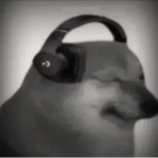🤔 fb3ef2f2 anjing, Cheems, headphone, meme, binatang, internet telegram sticker