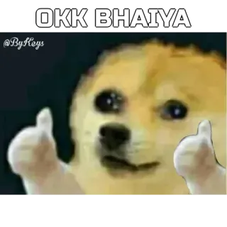 🙂 4f5ca0f9 OKK BHAIYA Doge, Meme, Hund, Okay, Daumen hoch telegram sticker
