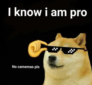 😎 61d90dfa doge I know i am pro
No camemas pls Meme, Hund, Profi, Brille, Doge telegram sticker