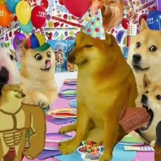 🤧 67561e26 Hund, Meme, Geburtstag, Party, Cheems telegram sticker