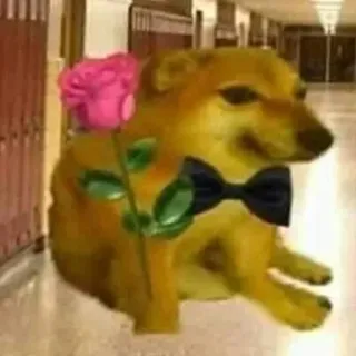 🌹 80d0fd6a Hund, Cheems, Blume, Fliege, Rose, Tier, süß telegram sticker