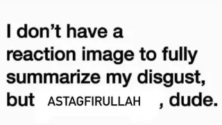 😭 5cdf35f8 I don't have a reaction image to fully summarize my disgust, but ASTAGFIRULLAH , dude. nojo, reação, texto, meme whatsapp sticker